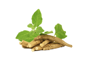 ashwagandha extract for sexual prowess