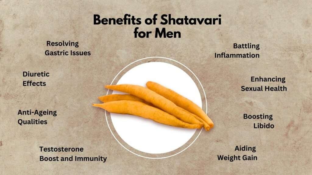 shatavari for men
