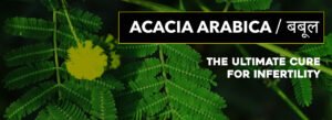 All You Need to Know about Acacia Arabica (Babool): A Natural Remedy for Male Infertility