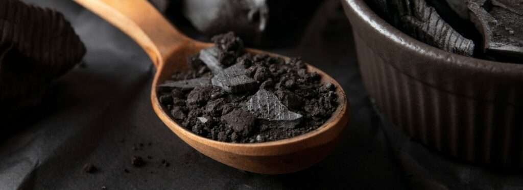 Shilajit-The-Ancient-Resin-with-Modern-Health-Benefits
